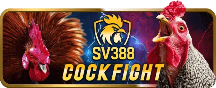 Hỗ trợ khách hàng chuyên nghiệp 24/7 BetKing Nhà Cái