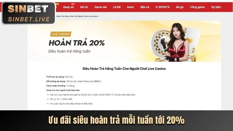 Biểu đồ phân tích hiệu suất trang web từ dữ liệu cookie